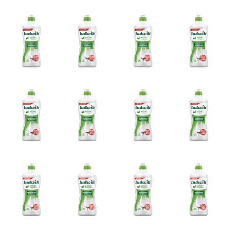 Ludwik płyn do mycia naczyń 900g - miętowy X12